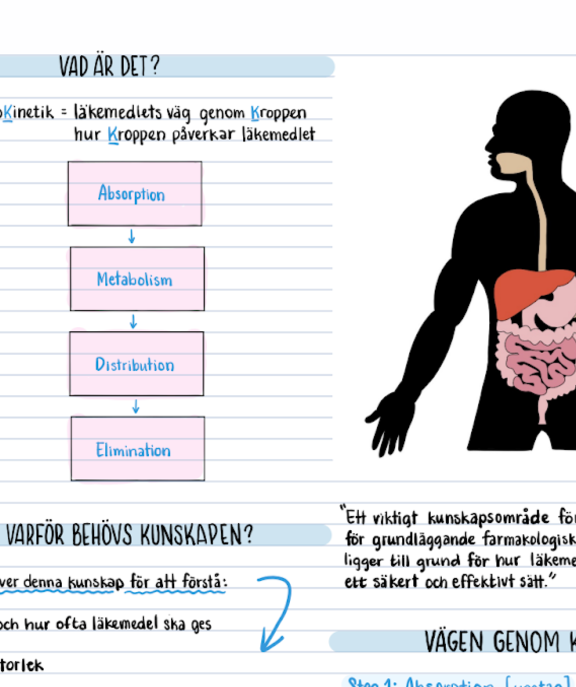 Farmakologi: Anteckningar