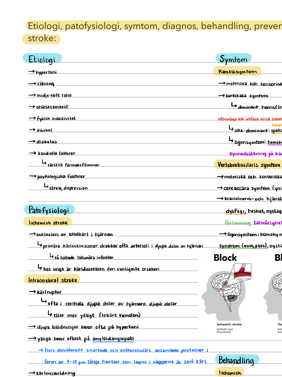 Patofysiologi: anteckningar