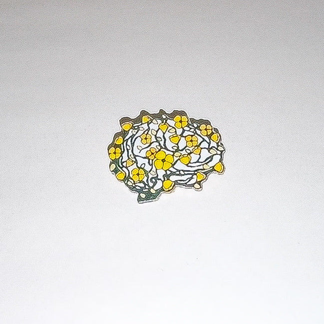 Hjärna gula blommor: Pin