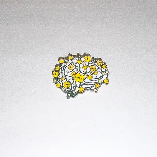Hjärna gula blommor: Pin