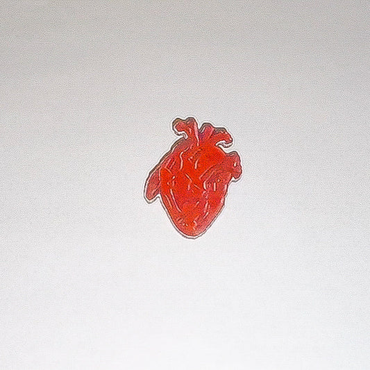 Anatomiskt hjärta röd: Pin