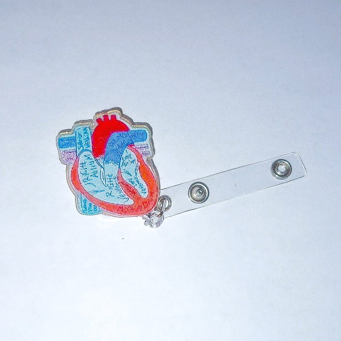 Blå Anatomiskt Hjärta: Jojo