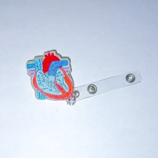 Blå Anatomiskt Hjärta: Jojo