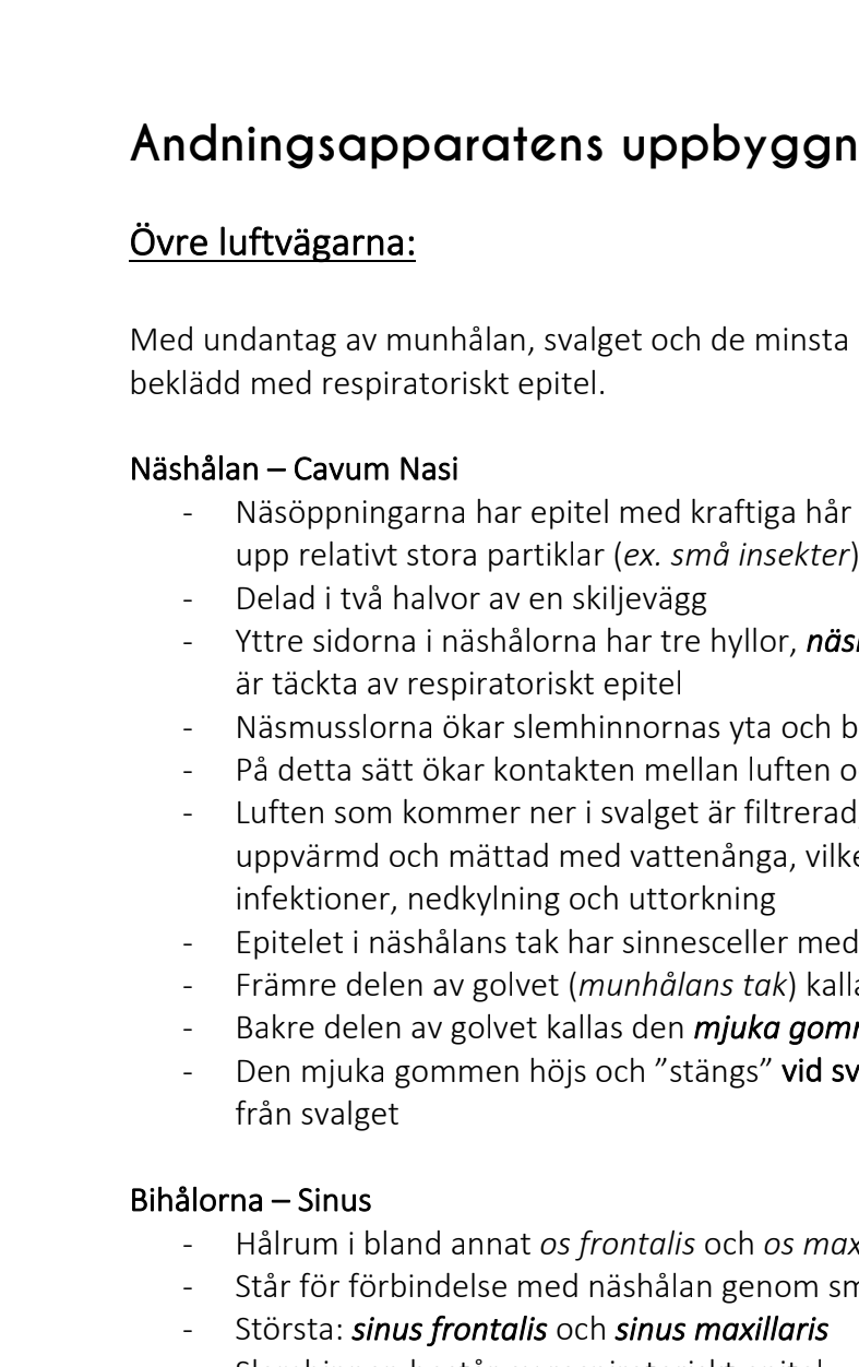 Bundle: alla anteckningar