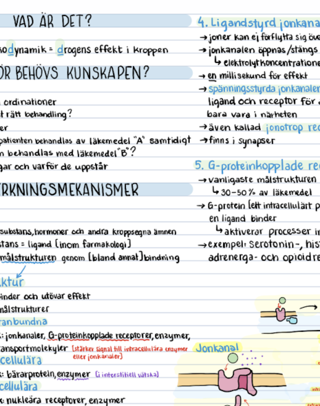 Bundle: alla anteckningar