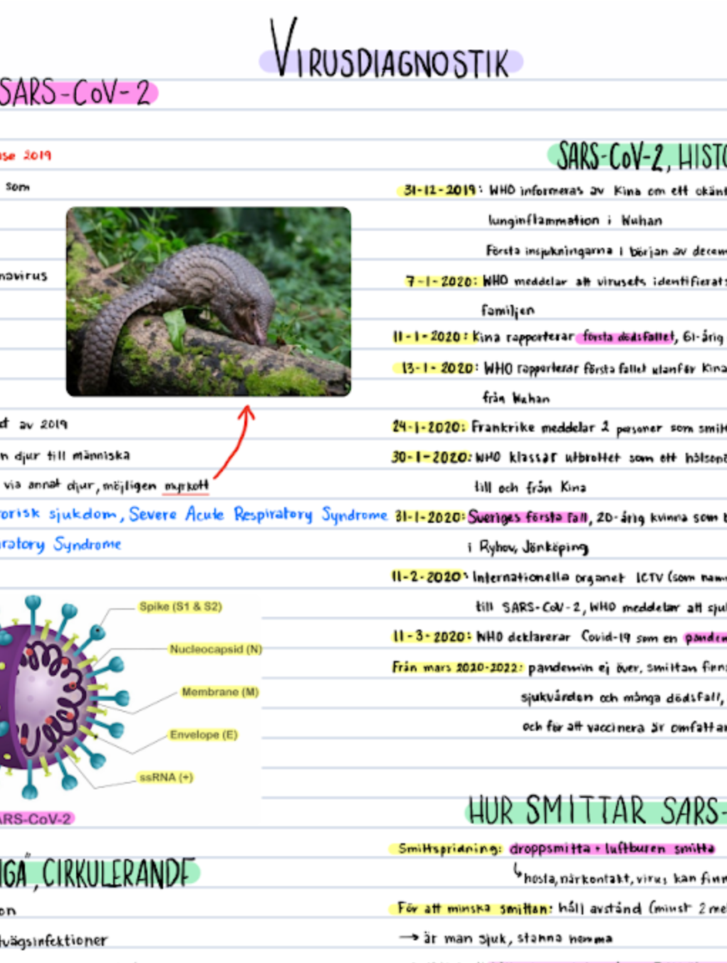 Mikrobiologi: anteckningar