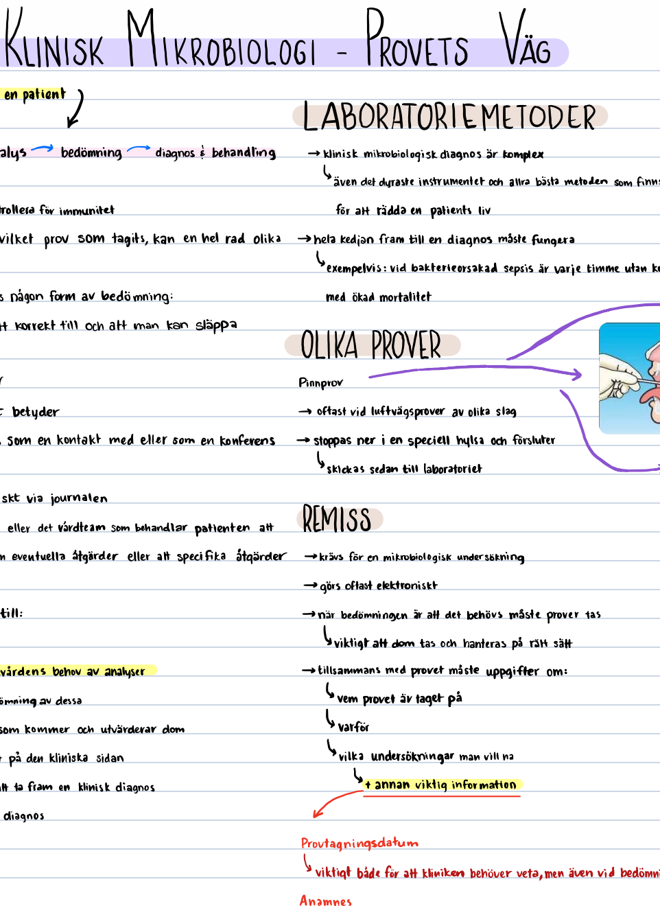 Mikrobiologi: anteckningar