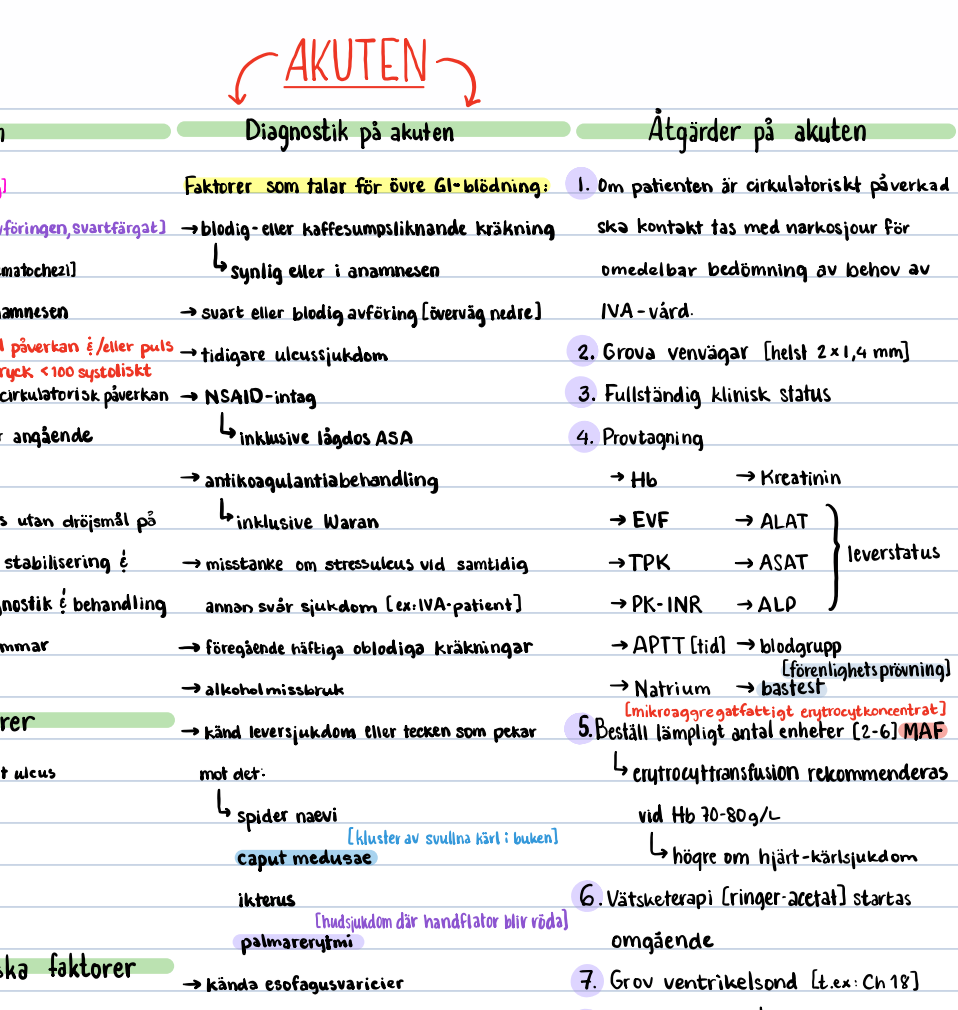 Patofysiologi: anteckningar