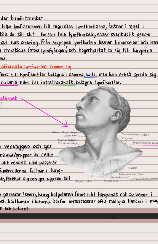 Patofysiologi: anteckningar