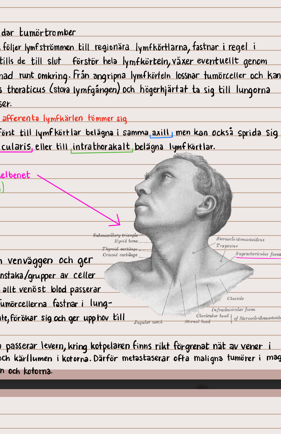 Bundle: alla anteckningar