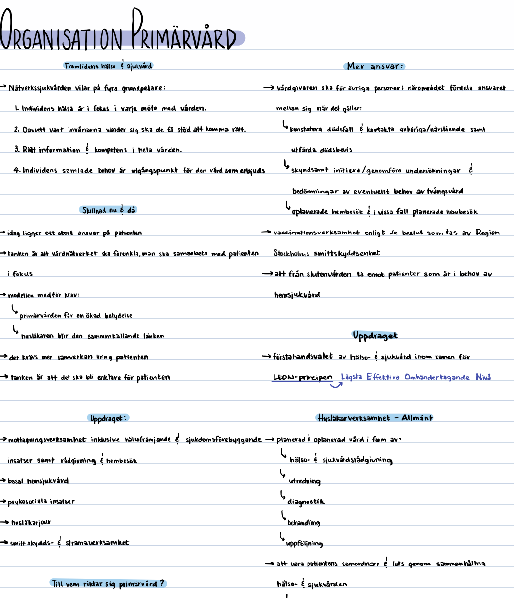 Sjuksköterskeprofessionen: anteckningar