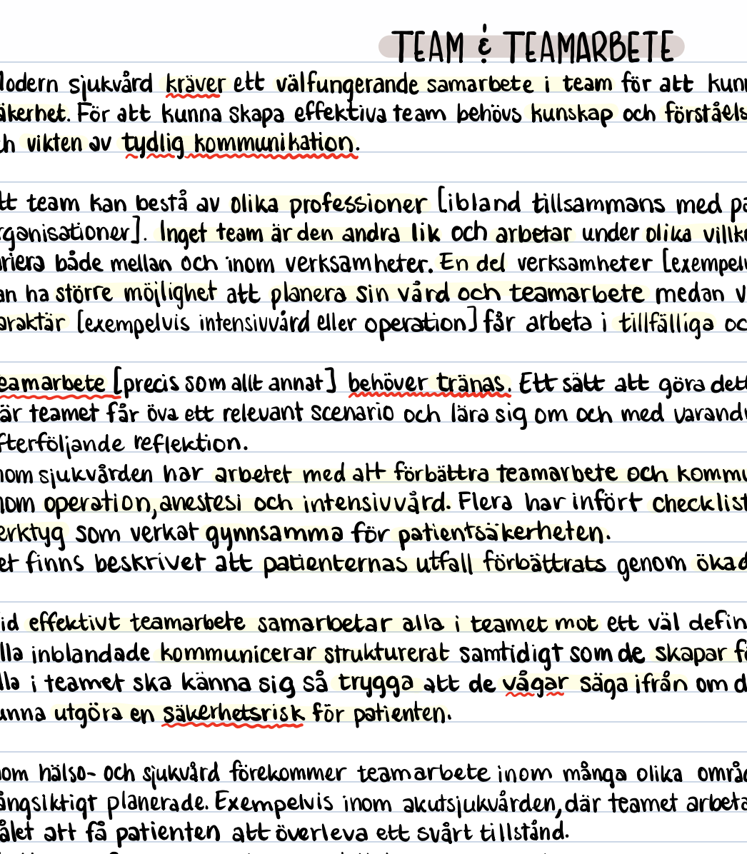 Sjuksköterskeprofessionen: anteckningar