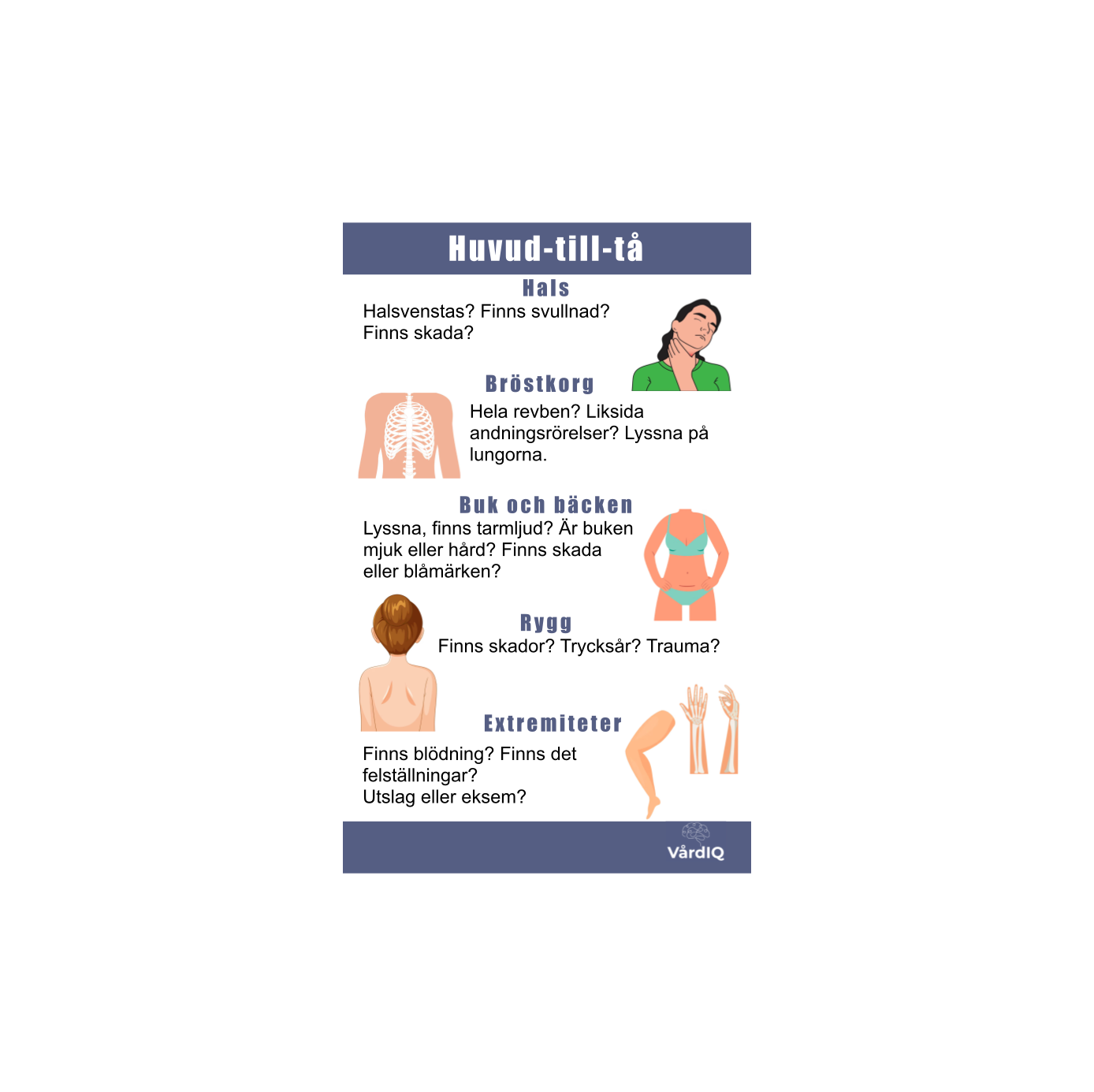 Huvud-till-tå bedömning